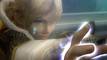 Final Fantasy Crystal Chronicles : The Crystal Bearers