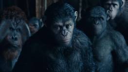 Cinma  : une bande-annonce pour La Plante des Singes : l'Affrontement