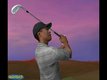 Tiger woods pga tour 2004 : Tiger, jaurai ta peau !