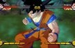 Dragon Ball Z : Burst Limit