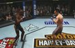 UFC 2009 Undisputed