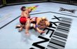 UFC Undisputed 2010