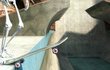 Skate 3