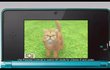 Nintendogs + Cats - Golden Retriever & Ses Nouveaux Amis