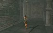 Tomb Raider Anniversary