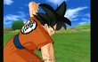 Dragon Ball Z : Budokai Tenkaichi 3