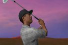 Tiger woods pga tour 2004 : Tiger, jaurai ta peau !