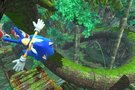 Le plein dimages pour  Sonic The Hedgehog