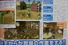   Harvest Moon  dvoil sur Wii