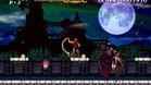 Images et photos Castlevania : The Adventure ReBirth