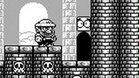 Images et photos Wario Land