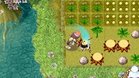 Images et photos Rune Factory 2 : A Fantasy Harvest Moon