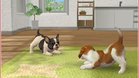 Images et photos Nintendogs + Cats - Bouledogue Francais & Ses Nouveaux Amis