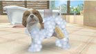 Images et photos Nintendogs + Cats - Bouledogue Francais & Ses Nouveaux Amis