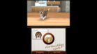 Images et photos Nintendogs + Cats - Bouledogue Francais & Ses Nouveaux Amis