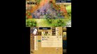 Images et photos Fire Emblem : Awakening