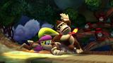 Vido Donkey Kong Country : Tropical Freeze | Dixie Kong