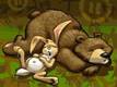 Test Express de SimAnimals sur DS et Wii