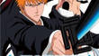 Bleach Heat The Soul 5