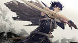 Vido Fire Emblem : Awakening | Quelques phases de gameplay en vido maison